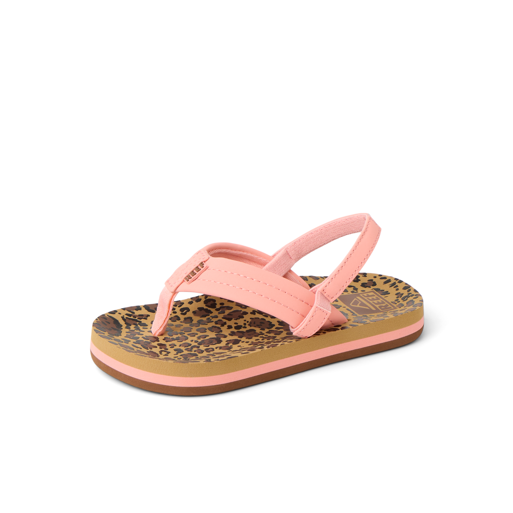Little Ahi - Image 5