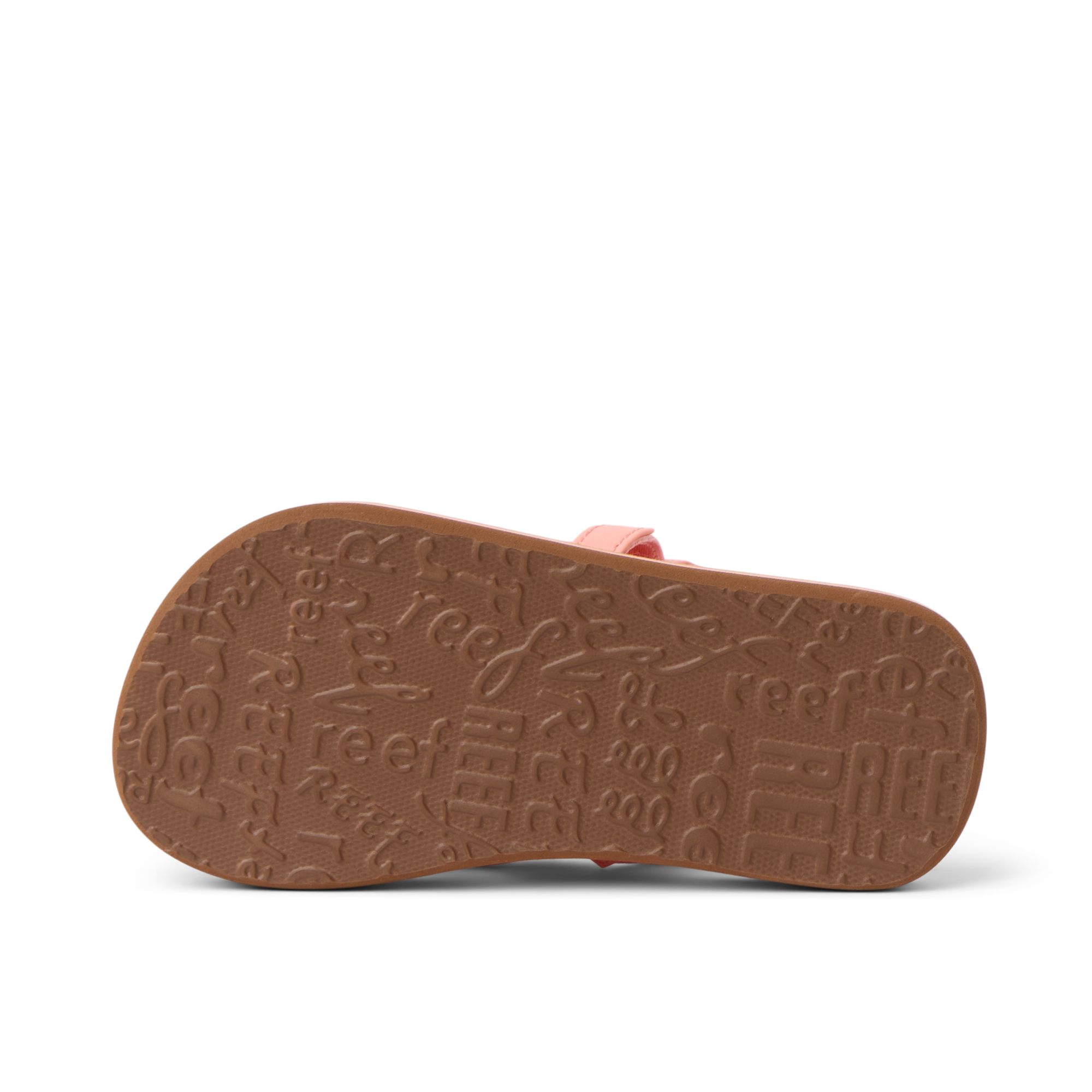 Little Ahi - Image 4