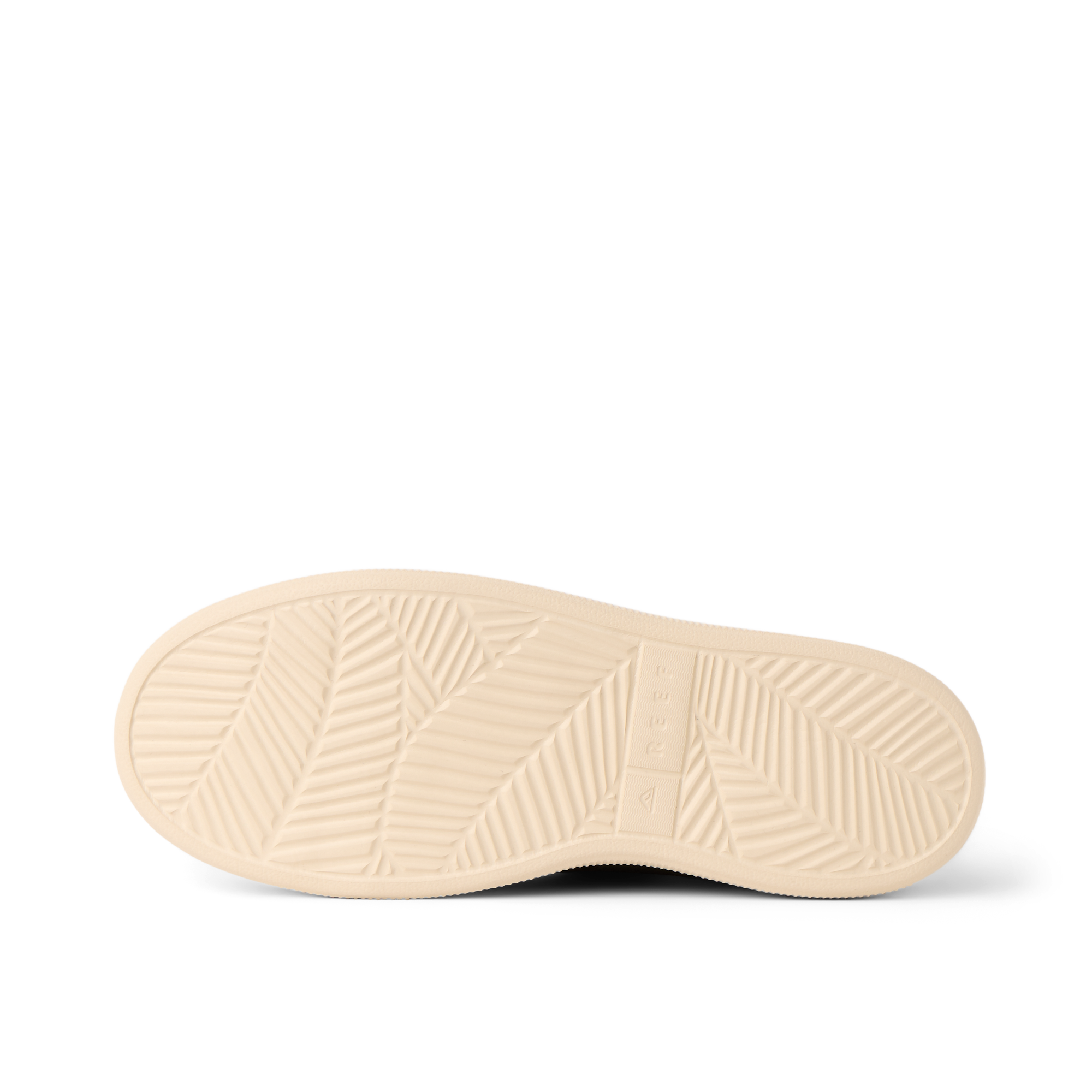 Reef Neptune - Image 4